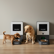 FutterBot™ Smart Automatic Pet Feeder